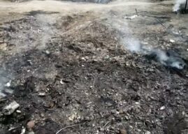 Incendio Laurentina: la Commissione ecomafie sospetta “una vera terra dei fuochi”