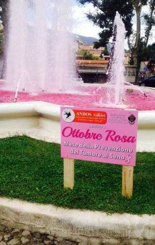 La-fontana-di-piazza-Garibaldi-la-cui-acqua-è-stata-tinta-di-rosa
