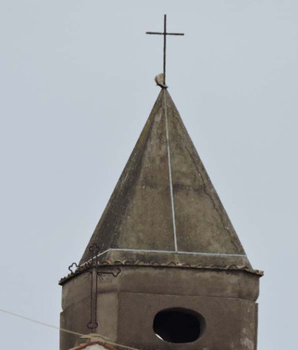 campanile-duomo-genzano-1
